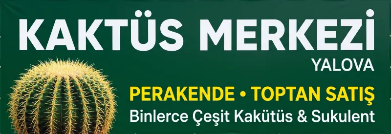 MIP Garden Instagram — beton saksı kampanyaları