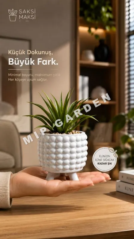 Özel tasarım beton saksı
