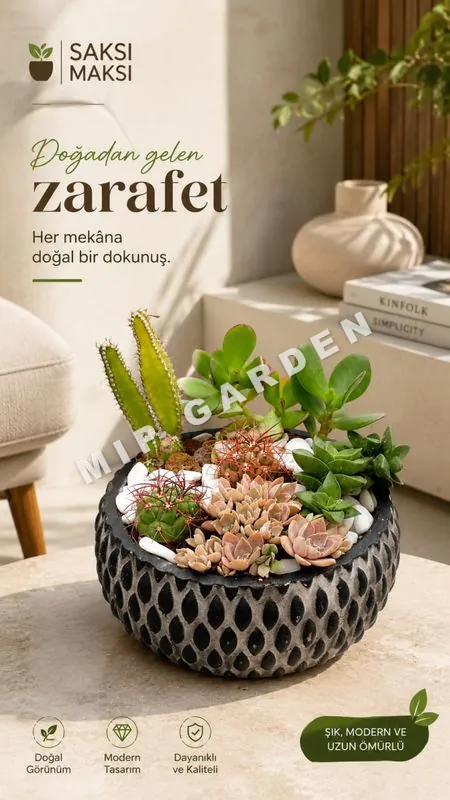 Dekoratif beton saksı